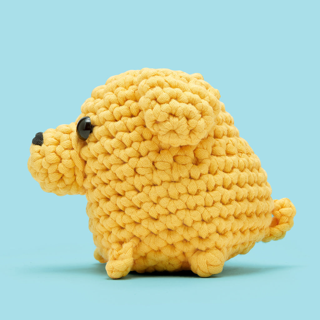 Get This Paw-ty Started Bundle - Image 10
