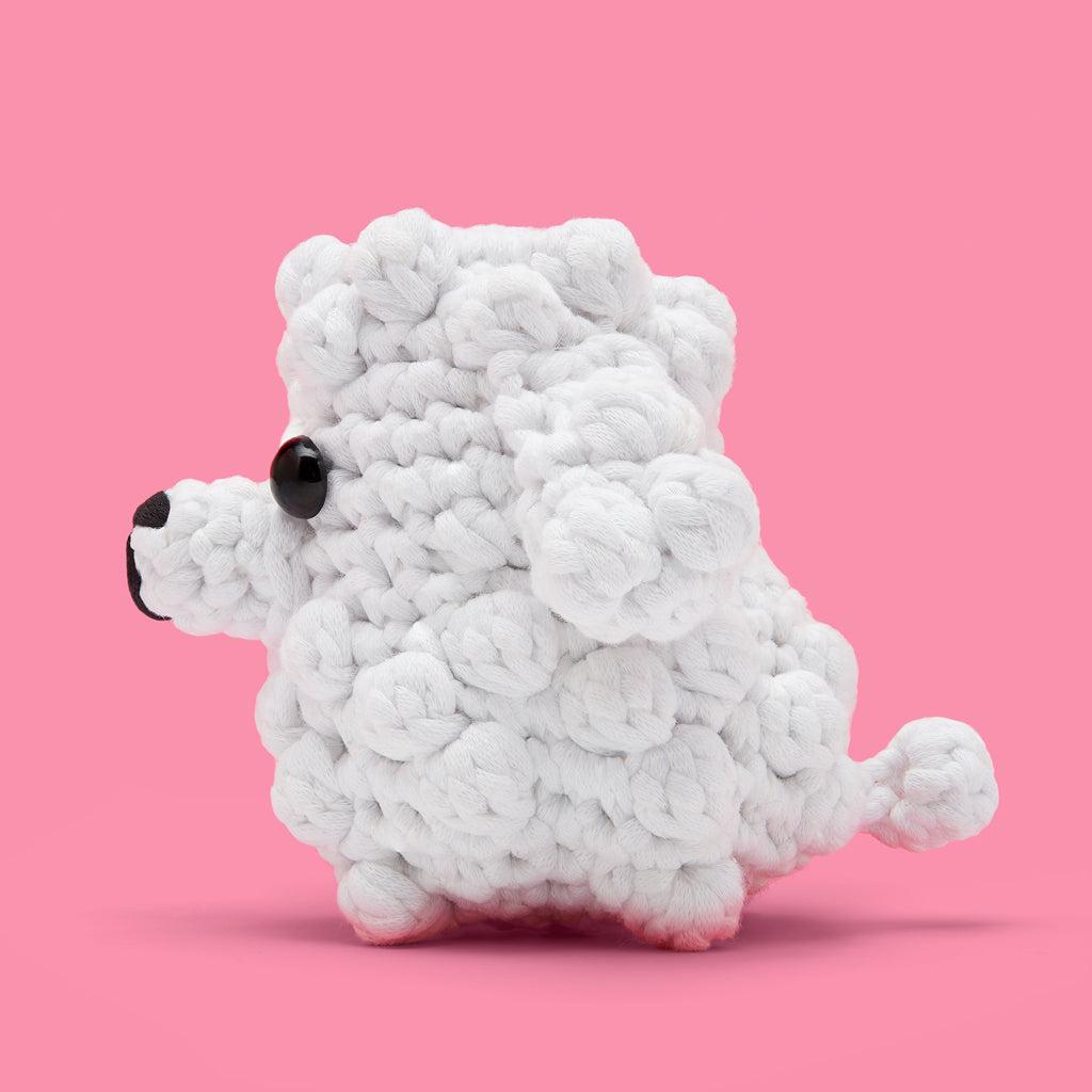 Get This Paw-ty Started Bundle - Image 14
