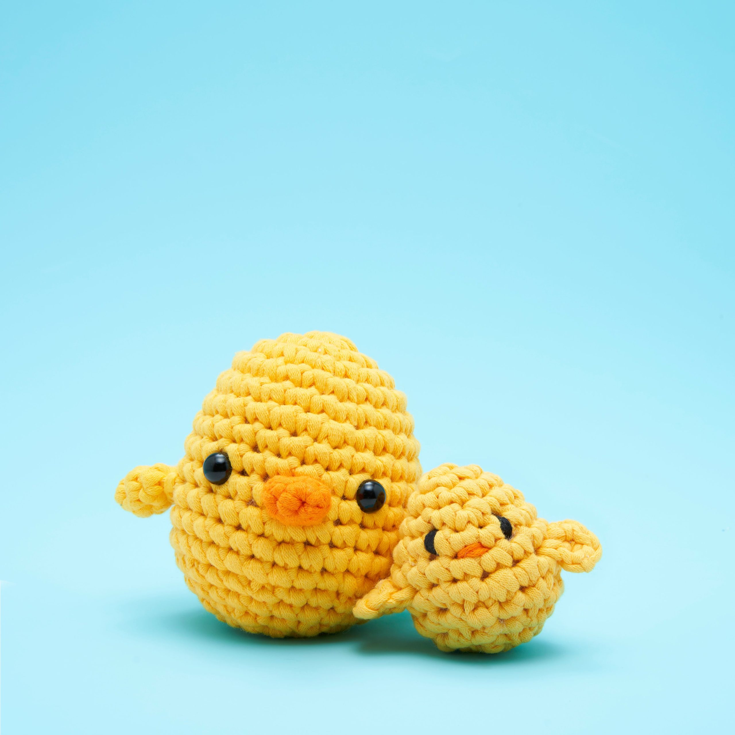 Poquita Chickita Accessory Kit - Image 2