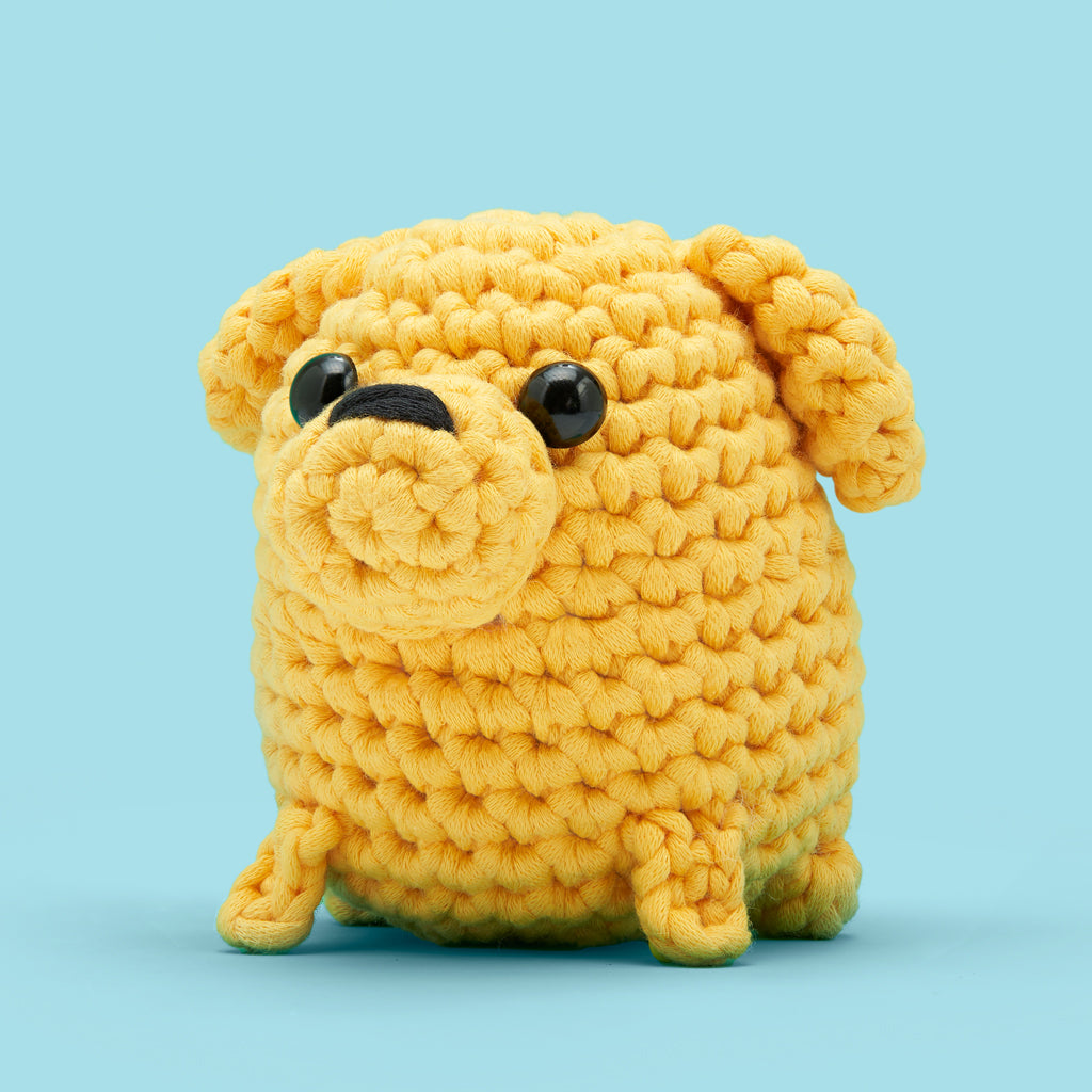 Get This Paw-ty Started Bundle - Image 9