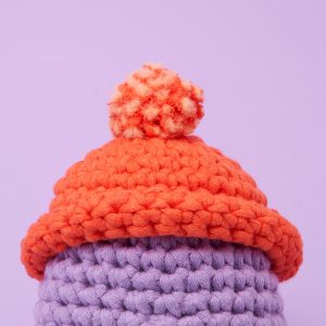 Tiny Beanie Accessory Kit