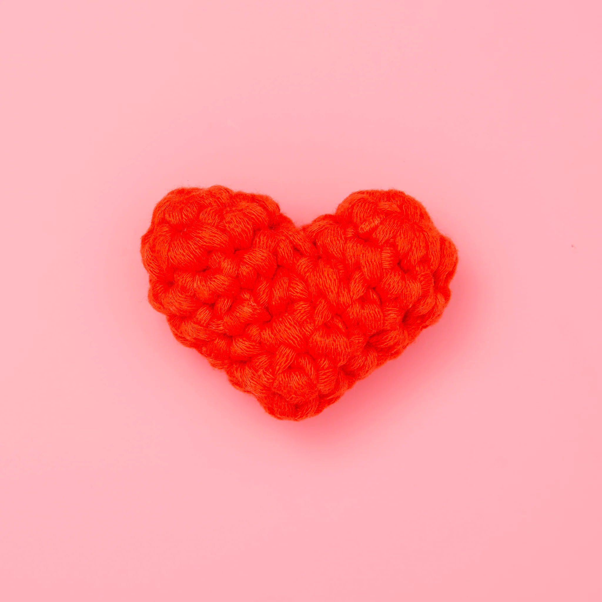 Eat. Paw. Love Bundle - Image 4